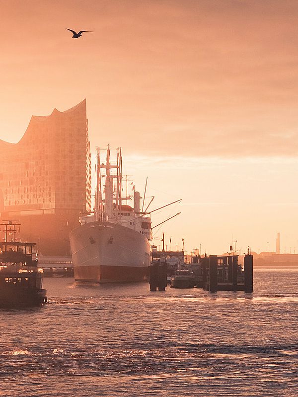 Hamburg sundown: Elbphilharmonie, Elbe, ships and cranes